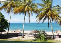 Starfish resort
